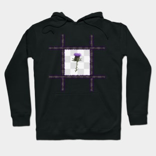 Tartan Thistle on a Chequered Background Hoodie